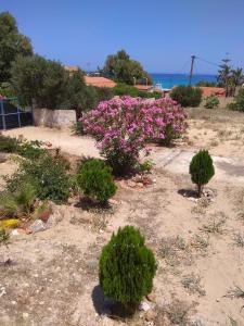 Stavros Sea Bungalow Chania Greece