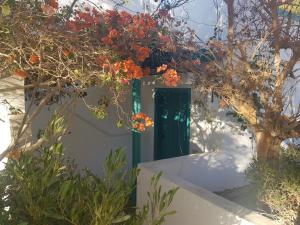 Lilly Rooms and Studio