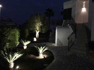 B&B Paradise
