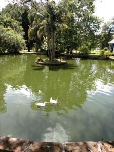 Chalé Vale do Bosque