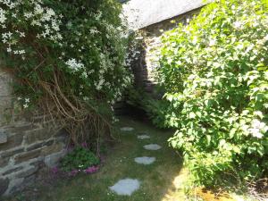 Maisons de vacances Les Chouettes : photos des chambres