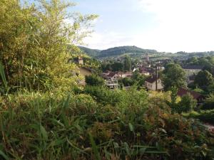 Maisons de vacances Les Gites du Belvedere - Arbois : photos des chambres