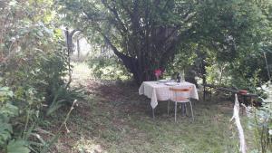 Maisons de vacances Les Gites du Belvedere - Arbois : photos des chambres