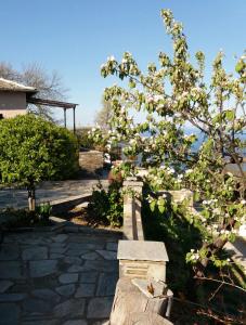 Tsagarada Cottage Pelion Greece