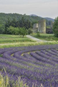 Maisons de vacances Les Hirondelles : photos des chambres