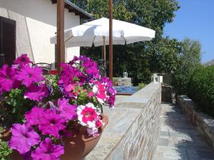 Tsagarada Cottage Pelion Greece