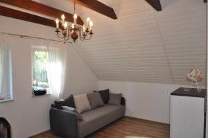 Apartament pod Dębem