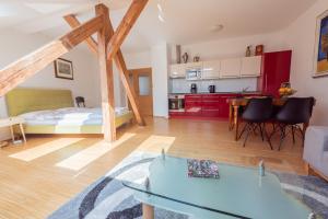 Apartment Vodičkova 11