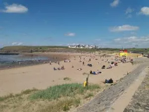 Ocean Bliss - Gubacreeny