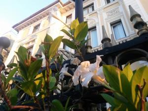 Ena Hotel Arenzano Italy J2ski - 