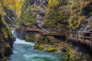 Apartments Koledniki