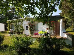 Ferienhaus Ferienhäuschen Born Deutschland