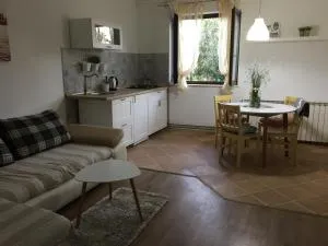 Apartment Villa Rossa - Rošini