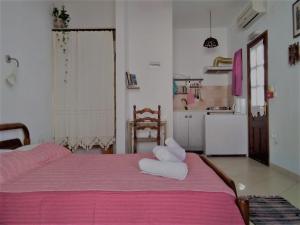 Eva's Family Studios-Eco Friendly Patmos Greece