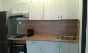 Apartment credence water Poděbrady Czech Republic