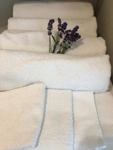 Apartament Metro Słodowiec