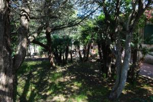 Villa Margherita img13