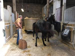 Maisons de vacances Ferme Gite Equestre En Charente : Maison de Vacances