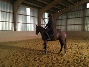 Maisons de vacances Ferme Gite Equestre En Charente : photos des chambres