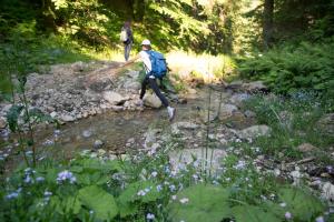 Lake Peak Apartments, Ribniško Pohorje 