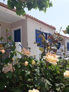 Panorama Apartments Messinia Greece