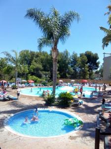 Apartamento Cala Crancs