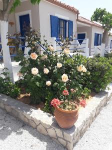 Panorama Apartments Messinia Greece