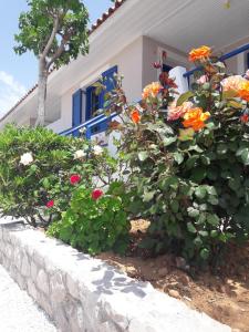 Panorama Apartments Messinia Greece