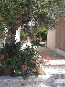 Panorama Apartments Messinia Greece