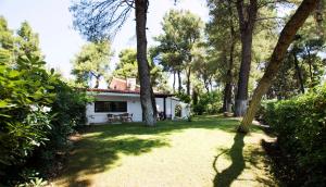 Villa Irini in Sani Halkidiki Greece