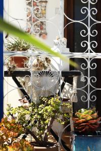 Casa da Mata SurfHouse