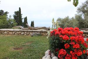 Porto Katsiki Guest Houses Lefkada Greece