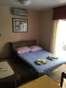 Apartment Sanja