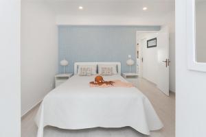 Ericeira T1 Navegantes Apartment