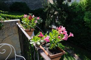 B&B / Chambres d'hotes Les Tournesols : photos des chambres