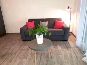 T2 la saline les bains - Le Bois de Nèfles