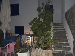 Holidays in Paros Paros Greece