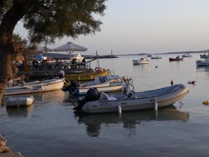 Holidays in Paros Paros Greece