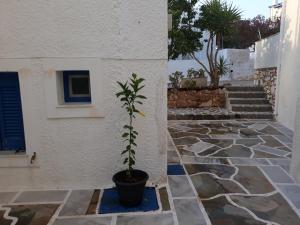 Holidays in Paros Paros Greece