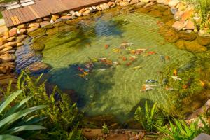 Pousada dos Pireneus