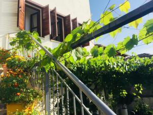 Denis GuestHouse 1930