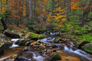 Apartmajsko naselje Ribniško Pohorje