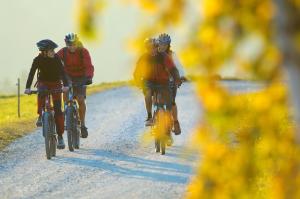 Apartmajsko naselje Ribniško Pohorje