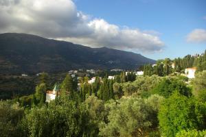 Green Oasis 3 Andros Greece