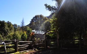 Carpe Diem Cabañas & Suites