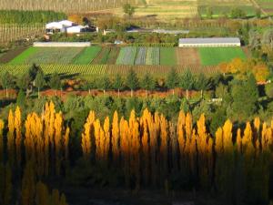 Carpe Diem Cabañas & Suites