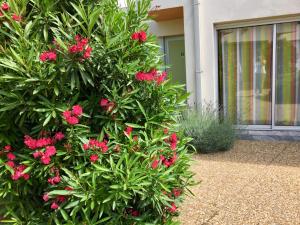 Hotels Amerique Hotel Palavas - Piscine - Plage : photos des chambres