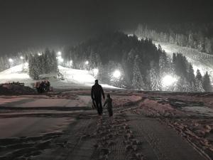 Apartmajsko naselje Ribniško Pohorje