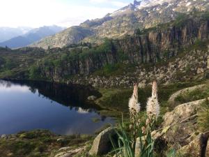 Auberges Refuge des etangs de Bassies : photos des chambres