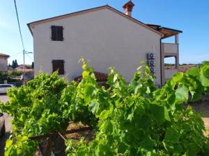 Apartments Kristina 1531